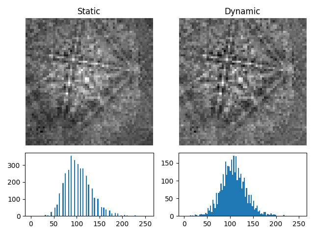 Static, Dynamic