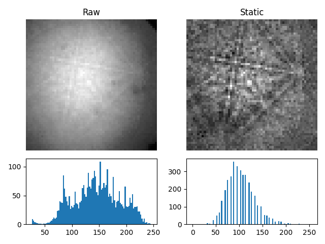 Raw, Static